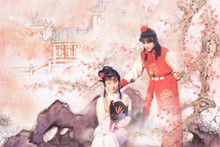 红楼梦第六回 贾宝玉初试云雨情 刘姥姥一进荣国府