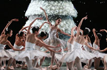 历史上的今天2月20日 芭蕾舞剧《天鹅湖》首演
