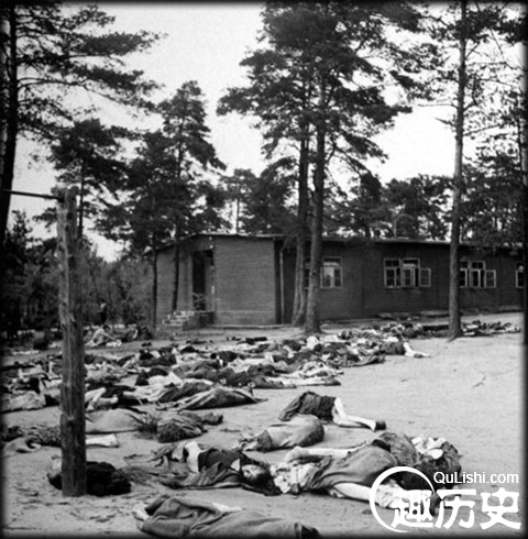 惨不忍睹：纳粹最大的妇女集中营 女人尸体成堆_https://www.ipzc.cn_历史人物_第9张