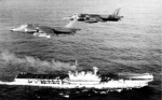 英国海军的乌龙秘闻：把三头鲸鱼当敌人潜艇炸死