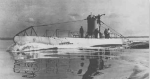 二战轶闻：英国用海鸥对付德军潜艇巧夺制海权