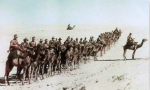 历史上最不靠谱的五场战争：飞鸟打赢澳洲军队