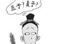 不辨菽麦的主人公是谁？不辨菽麦读音及意思