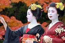 探秘日本艺伎风情万种的生活：带您了解日本艺妓