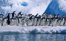 关于南极洲的13个事实 哪一项与中国有关？