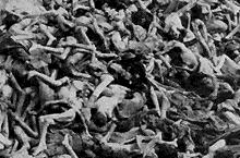 贝尔森集中营：没有毒气室战犯多死于饥饿劳累