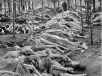 波兰战役后波兰的悲剧：六分之一人口死于屠杀