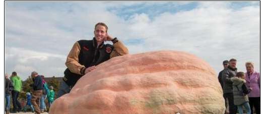 世界上最重的南瓜，比利时男子种出2381斤南瓜刷新世界纪录