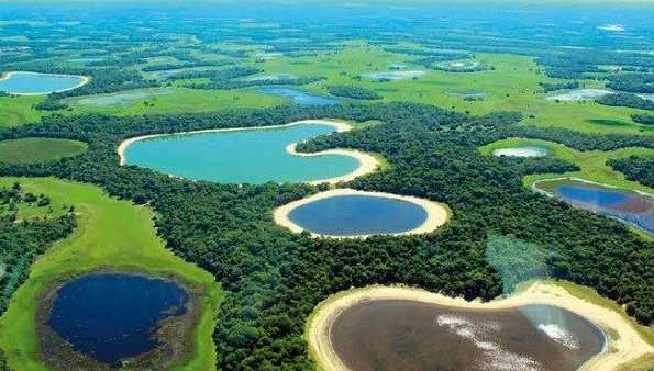 世界上最大的湿地——潘塔纳尔湿地 总面积达24.2万平方千米