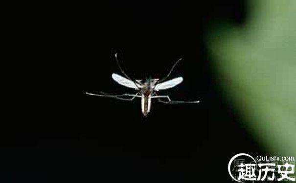 揭开了蚊子飞行之谜，在未来有助于找到阻止蚊子传播疾病的方法！