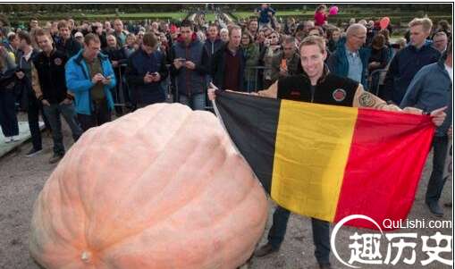 世界上最重的南瓜，比利时男子种出2381斤南瓜刷新世界纪录