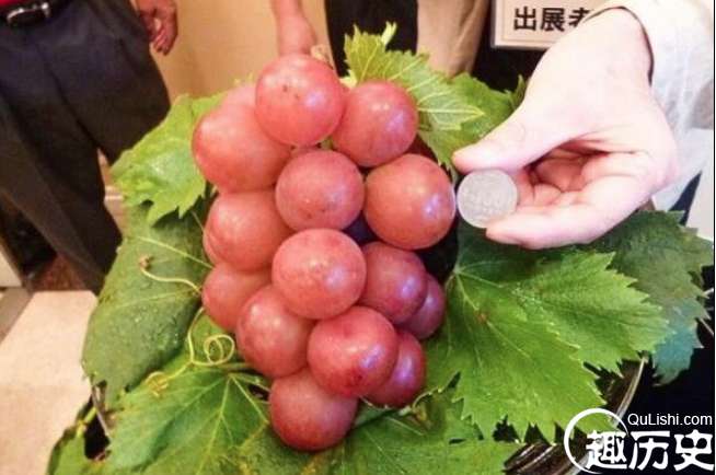 世界上最贵的葡萄，日本浪漫红宝石葡萄一串7.28万元再创纪录