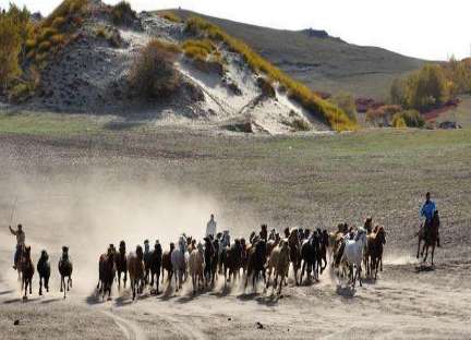 长子西征 mdash; mdash;大蒙古国的第二次西征