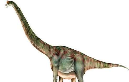世界上最大最长的恐龙，地震龙走路像地震