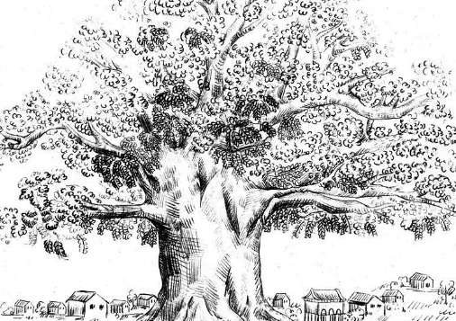 古代官员自杀，为什么要选槐树？