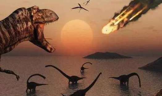 恐龙灭绝是不是因为小行星撞击？小行星撞哪了？