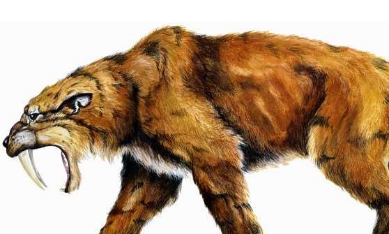 冰河世纪异剑齿虎，比剑齿虎更凶残的史前巨兽