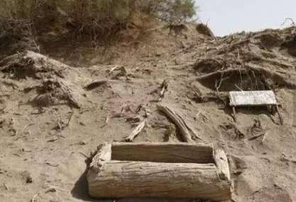 西域遗址发现的巨人古尸，疑是炎帝后人，真相如何