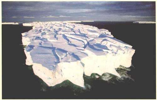 世界最髙的冰山是从格陵兰冰盖断裂下来的， 可以高出水面167米！