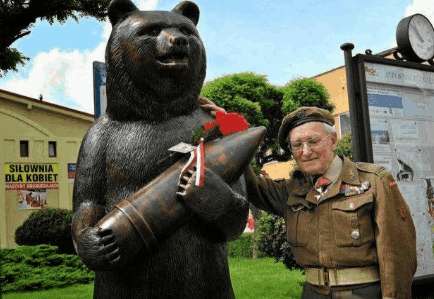 世界上唯一一个上过战场经历过二战的棕熊 二战中波兰政府军队里的一员