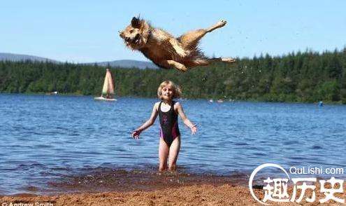 飞天狗跳高183公分，超越金氏世界纪录狗狗跳高纪录的173公分
