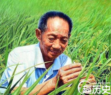 世界水稻单产的最高纪录，袁隆平超级杂交水稻1149.02公斤