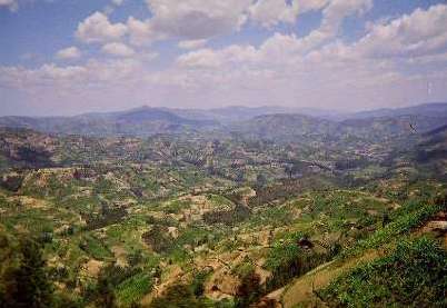 卢旺达中图西族如何打败胡图族的，现在是谁掌权