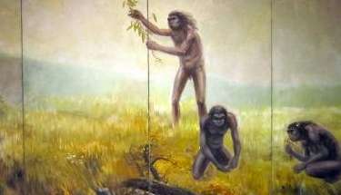 元谋人、蓝田人、北京人、山顶洞人，哪个才是中国人的祖先？