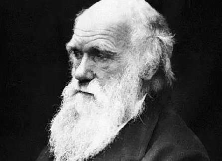 进化论，一个蒙骗了人类100多年的错误信仰