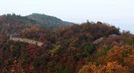 茅麓山战役中李来亨点火自焚 为什么当地传说中李来亨却没有死