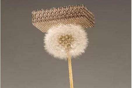 全球最轻材料 比头发薄一千倍，轻到以放在蒲公英上面