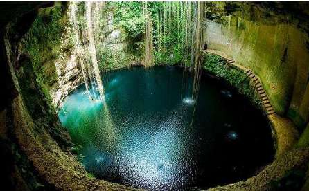 成吉思汗陵墓只有一个动物知道其位置，可惜现在就剩下残骸了