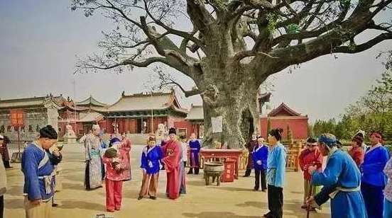 关于洪洞大槐树有什么传说，是真的吗?