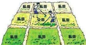 初税亩的改革发生在什么朝代？主要内容是什么