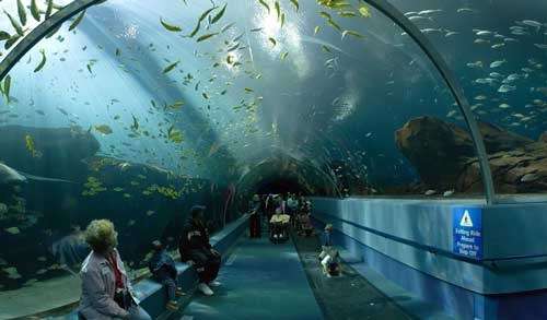 世界上最大的水族馆乔治亚水族馆，它位于美国哪里？