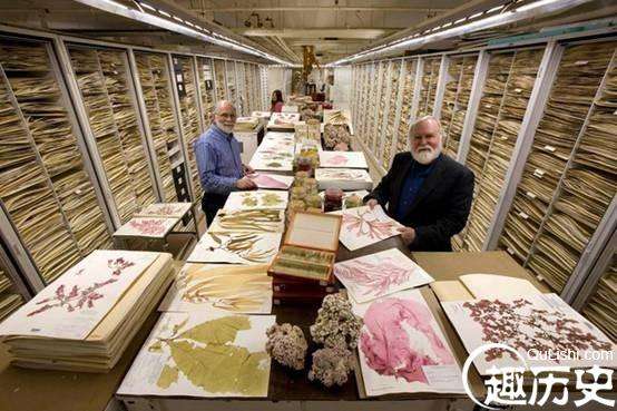 史密森尼学会博物馆是全球最大的博物馆系统和研究联合体