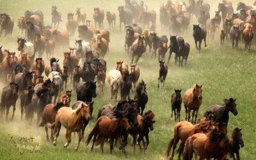 为何古代游牧民族要入侵中原？两千年的恩怨情仇，仅此两字