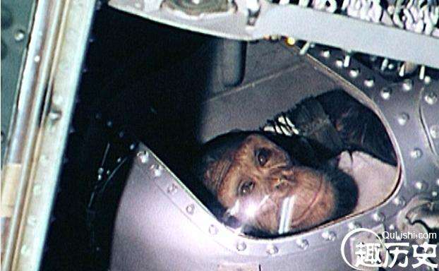 盘点离开地球进入太空的那些动物