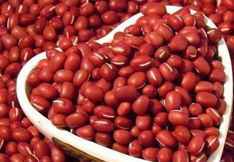 小小的一颗红豆为何会被古人寄托相思之情?红豆为何会被称为“相思豆”?