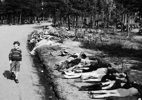 纳粹大屠杀一共设立了多少集中营 纳粹大屠杀有几种解释