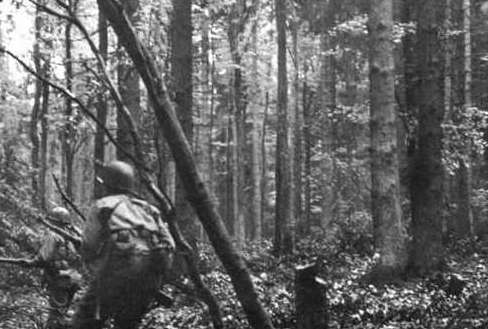 许特根森林战役：德国本土进行最长时间的战役