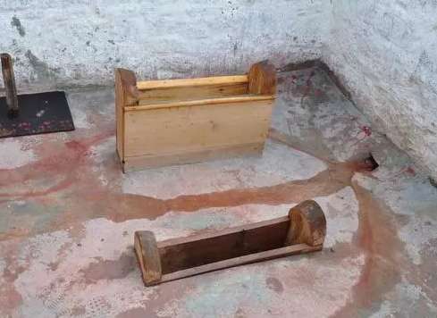 为什么布达拉宫的厕所三百年都不需要清理？