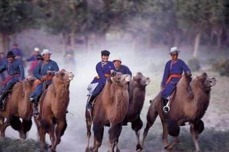 骆驼之战：伊斯兰历史上第一次穆斯林大规模内战