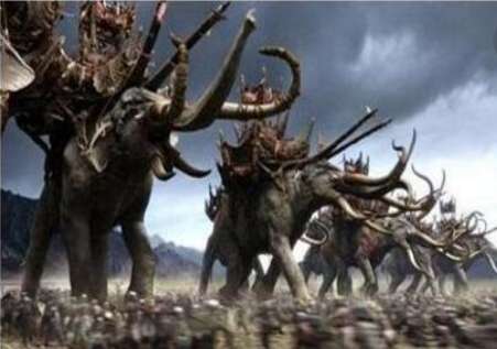 商纣王所布置的十万大军，为什么到死都没有征调他们？