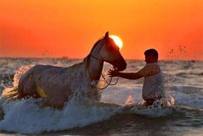 历史上最搞笑的官职，只要会搓澡就可以了