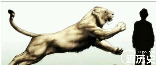 这是史上最大的狮子，残暴狮肩高1.4米重达400公斤