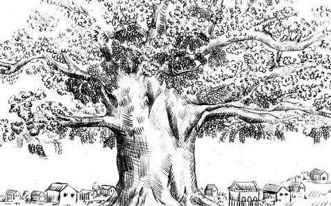 古代官员自杀，为什么要选槐树？