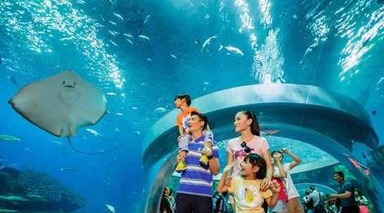世界上最大的水族馆——珠海长隆海洋王国