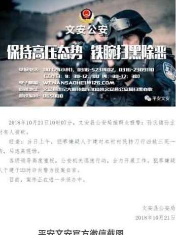 河北廊坊一男子持刀对本村村民行凶致3死1伤