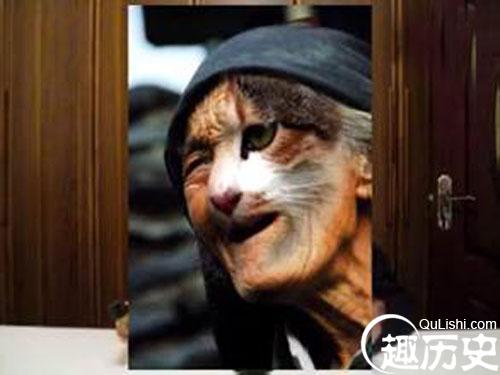 猫脸老太太灵异事件 揭秘哈尔滨猫人事件始末
